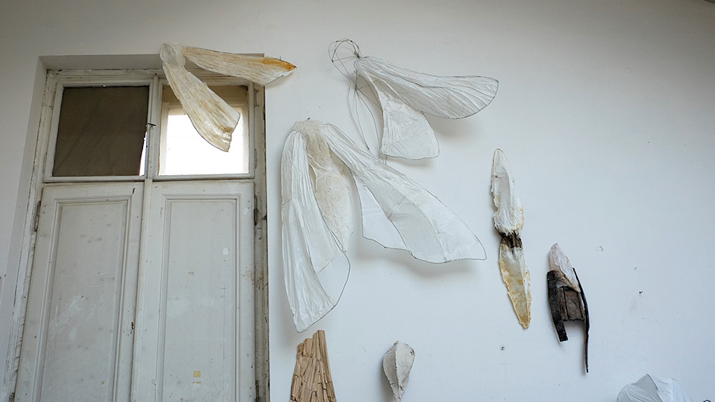 Katerina Komm: sculpture, WORKS: Moths